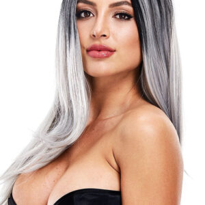 Hillary Straight Wig in Silver & Black